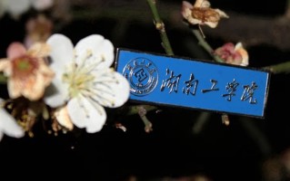 2024年湖南工学院录取分数线，内蒙古最低377分