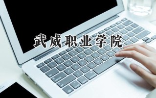 2024武威职业学院录取分数线：宁夏最低313分