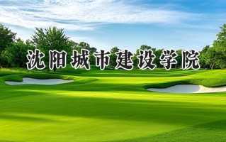 2024沈阳城市建设学院录取分数线：天津最低447分