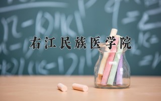 2024年右江民族医学院录取分数线，河北最低489分