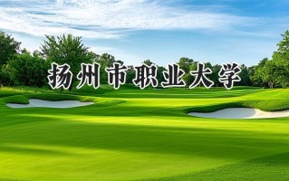 扬州市职业大学2024在山东录取分数线是多少？最低452分/最高475分