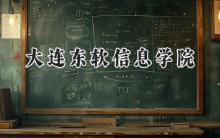 2024大连东软信息学院录取分数线：江苏最低386分