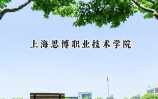 上海思博职业技术学院2024在江苏录取分数线是多少？最低228分/最高410分