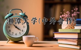 2025年湘潭大学(中外合作)在四川计划招生人数（附学费及专业录取分)