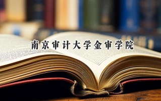 2024南京审计大学金审学院录取分数线：天津最低506分