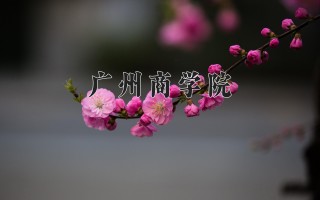 2024年广州商学院录取分数线，河北最低451分
