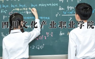 2025年四川文化产业职业学院在新疆计划招生人数（附学费及专业录取分)