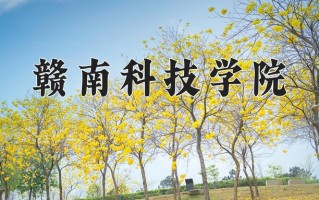2024赣南科技学院录取分数线，重庆录取最低分491