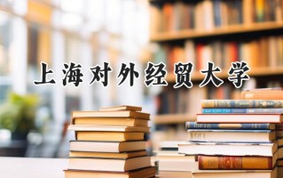 2024上海对外经贸大学录取分数线：新疆最低435分