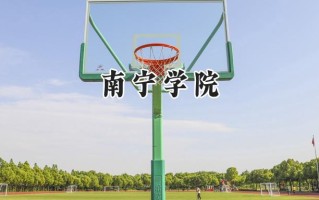 南宁学院2024在福建录取分数线是多少？最低432分/最高483分