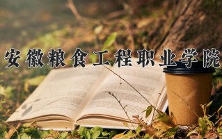 粮食储运与质量安全专业学费多少？附江苏2024年招收的大学
