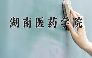 湖南医药学院怎么样？全国排名第几位