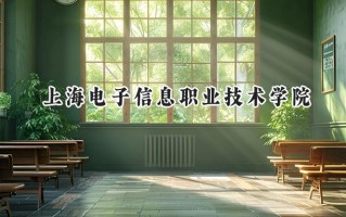 2024上海电子信息职业技术学院录取分数线：宁夏最低358分