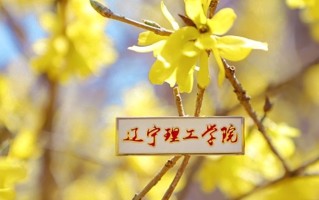 广西378分能上什么好大学？附2025年可以报考的大学名单