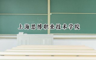 上海思博职业技术学院2024在青海录取分数线是多少？最低195分/最高268分