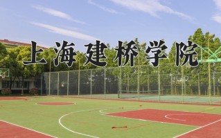 2025年上海建桥学院在四川计划招生人数（附学费及专业录取分)
