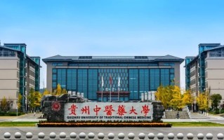 贵州中医药大学2024年各学科排名一览表！附教育部评级比例