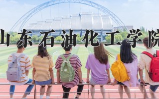 山东石油化工学院王牌专业排名-含2024年全国各省录取最低分数线