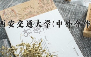 2025年西安交通大学(中外合作)在重庆计划招生人数（附学费及专业录取分)
