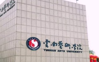 云南艺术学院全国排名及2024年最低录取分数线