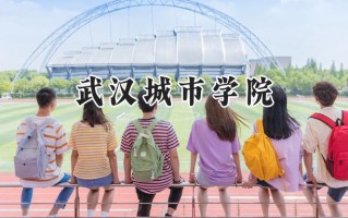 武汉城市学院2024在青海录取分数线是多少？最低331分/最高403分