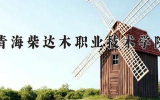 青海299分能上什么好大学？附2025年可以报考的大学名单