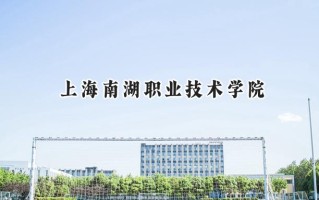 上海南湖职业技术学院2024在上海录取分数线是多少？最低101分/最高238分
