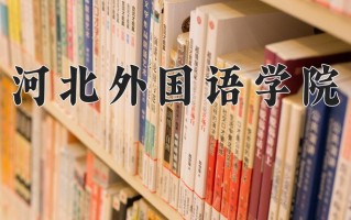 2024河北外国语学院录取分数线，重庆录取最低分446