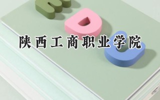 陕西工商职业学院2024在山东录取分数线是多少？最低413分/最高453分