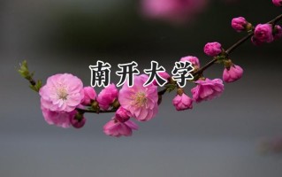 南开大学2024在新疆录取分数线是多少？最低574分/最高625分