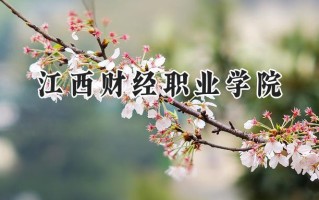 2024江西财经职业学院录取分数线：宁夏最低339分