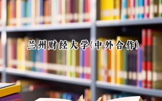 2024兰州财经大学(中外合作)录取分数线：陕西最低454分