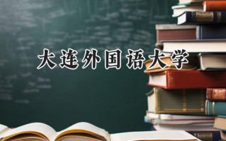 2024大连外国语大学录取分数线：河南最低524分