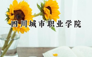 2024四川城市职业学院录取分数线：陕西最低299分