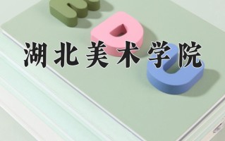 湖北美术学院怎么样？全国排名第几位