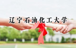 辽宁石油化工大学2024在上海录取分数线是多少？最低423分/最高426分
