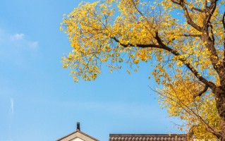 市场营销专业毕业能从事什么行业？市场营销专业就业方向及前景全解析