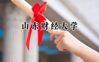 山东财经大学2024在福建录取分数线是多少？最低537分/最高579分