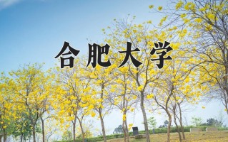 辽宁考生多少分能上合肥大学？2025最低492分