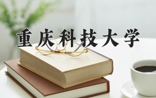 重庆科技大学全国排名及2024年最低录取分数线