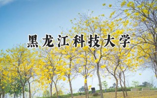 2024黑龙江科技大学录取分数线：山西最低460分