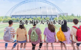 2024香港城市大学(东莞)录取分数线：陕西最低617分