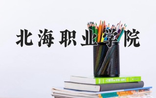 2025年北海职业学院在四川计划招生人数（附学费及专业录取分)