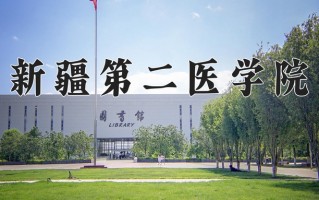 2024年新疆第二医学院录取分数线，新疆最低362分