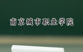 2024南京城市职业学院录取分数线：江苏最低437分