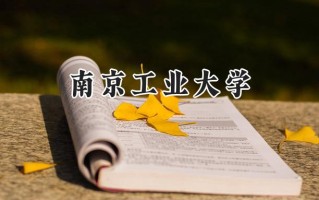 2024南京工业大学录取分数线：新疆最低447分