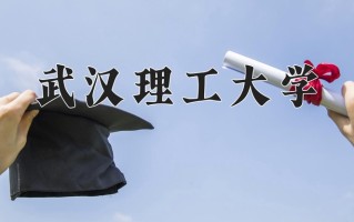 辽宁考生多少分能上武汉理工大学？2025最低580分