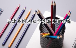 天津外国语大学滨海外事学院2024在山东录取分数线是多少？最低495分/最高503分