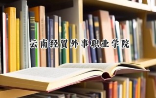 2024云南经贸外事职业学院录取分数线：陕西最低263分