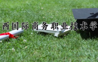 2025年广西国际商务职业技术学院在四川计划招生人数（附学费及专业录取分)